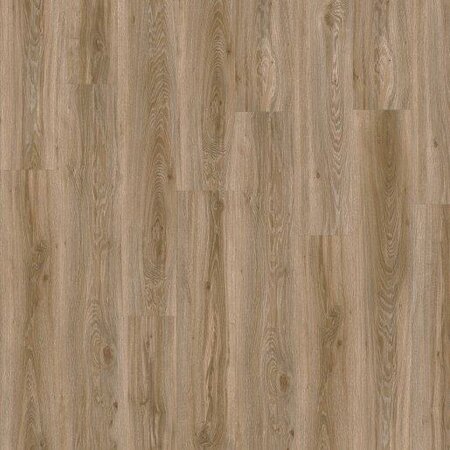 Moduleo Roots 55 - Blackjack Oak 22229 (Plak PVC)