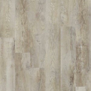 Moduleo Roots EIR - Country Oak 54925 (Plak PVC)