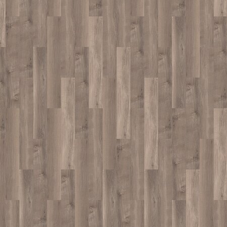 Solcora plus - Broad Leaf - 56267  Smoky Sycamore (Klik PVC) - afbeelding 1