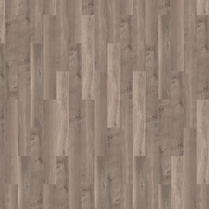 Solcora plus - Broad Leaf - 56267  Smoky Sycamore (Klik PVC) - afbeelding 1